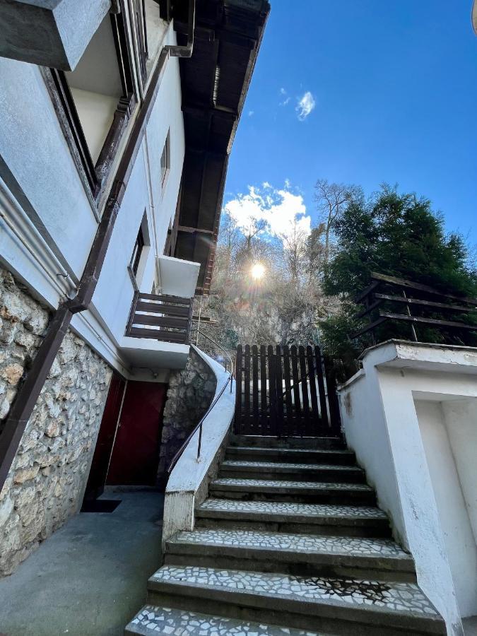 Timi Residence Braşov Extérieur photo