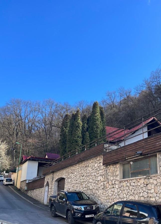 Timi Residence Braşov Extérieur photo